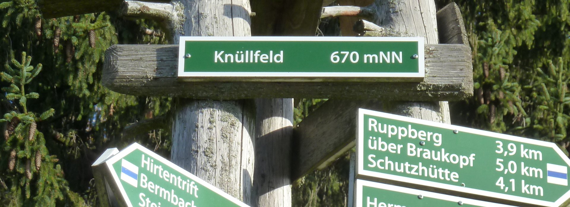 Knüllfeld Wegweiser an einem Baum