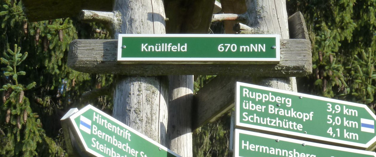 Wegweiser an einem Baum