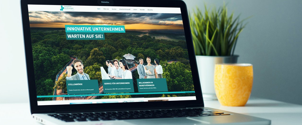 Laptop hat eine Website geöffnet, kleine Deko-Pflanzen im Hintergrund