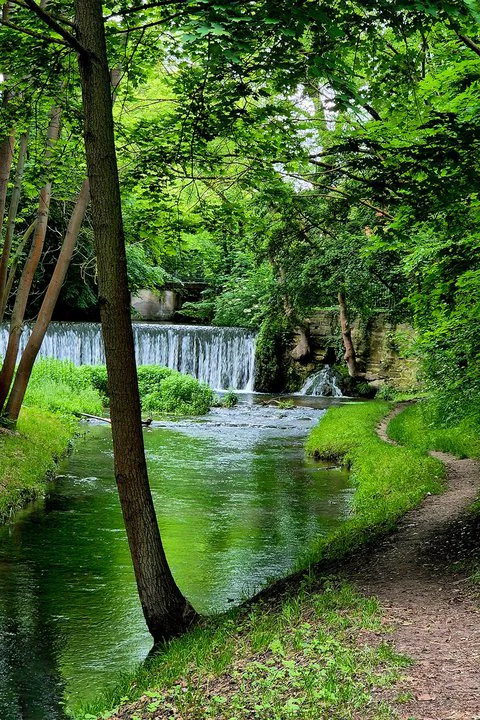 Janine Müller, Seufzerallee in Bad Langensalza Seufzerallee in Bad Langensalza