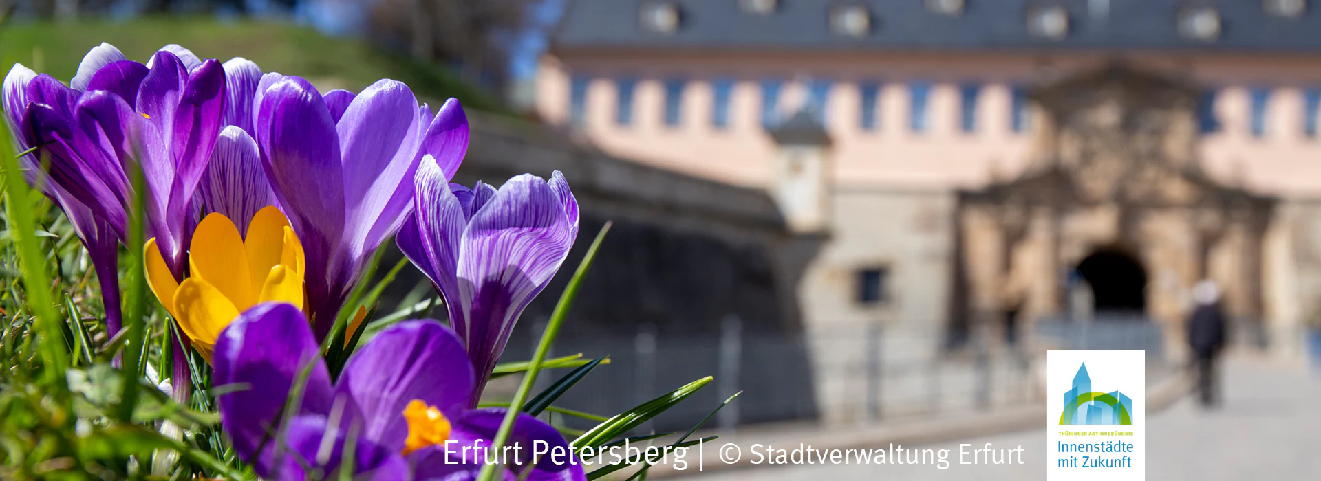 Bildbeschreibung / description: 