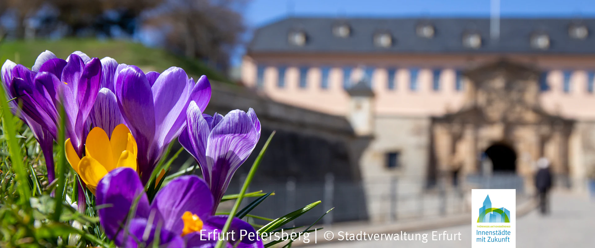 Bildbeschreibung / description: