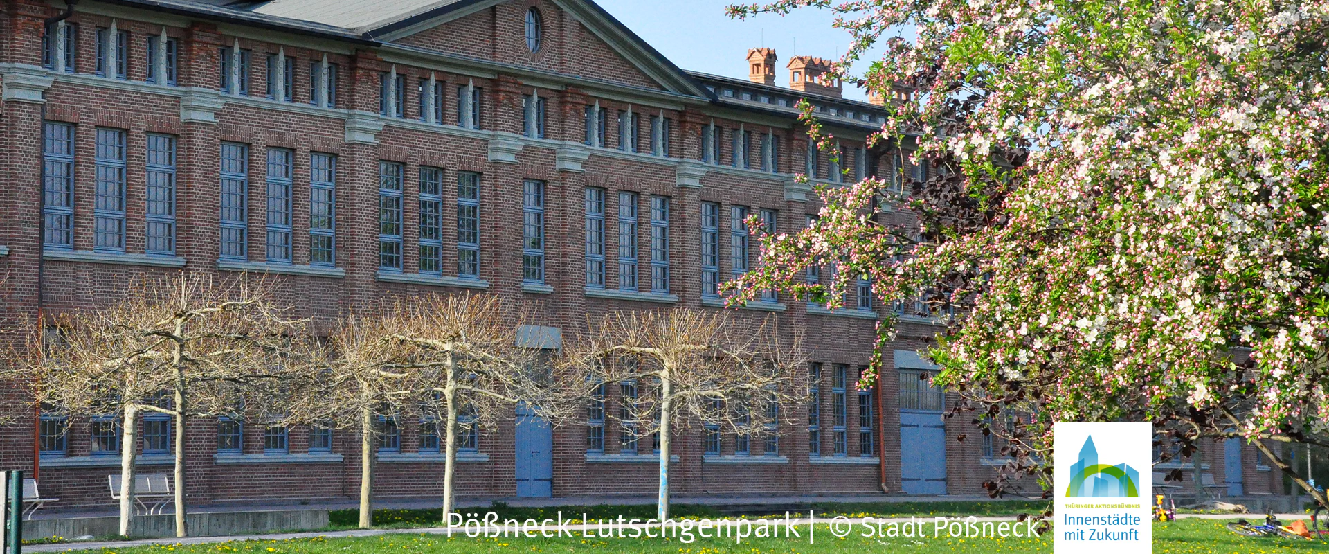 Bildbeschreibung / description: