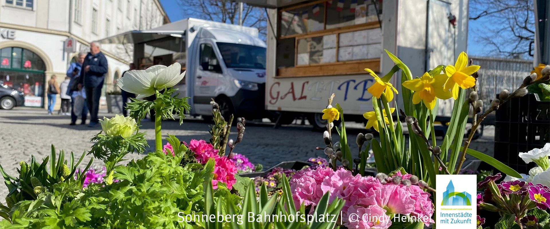 Bildbeschreibung / description: