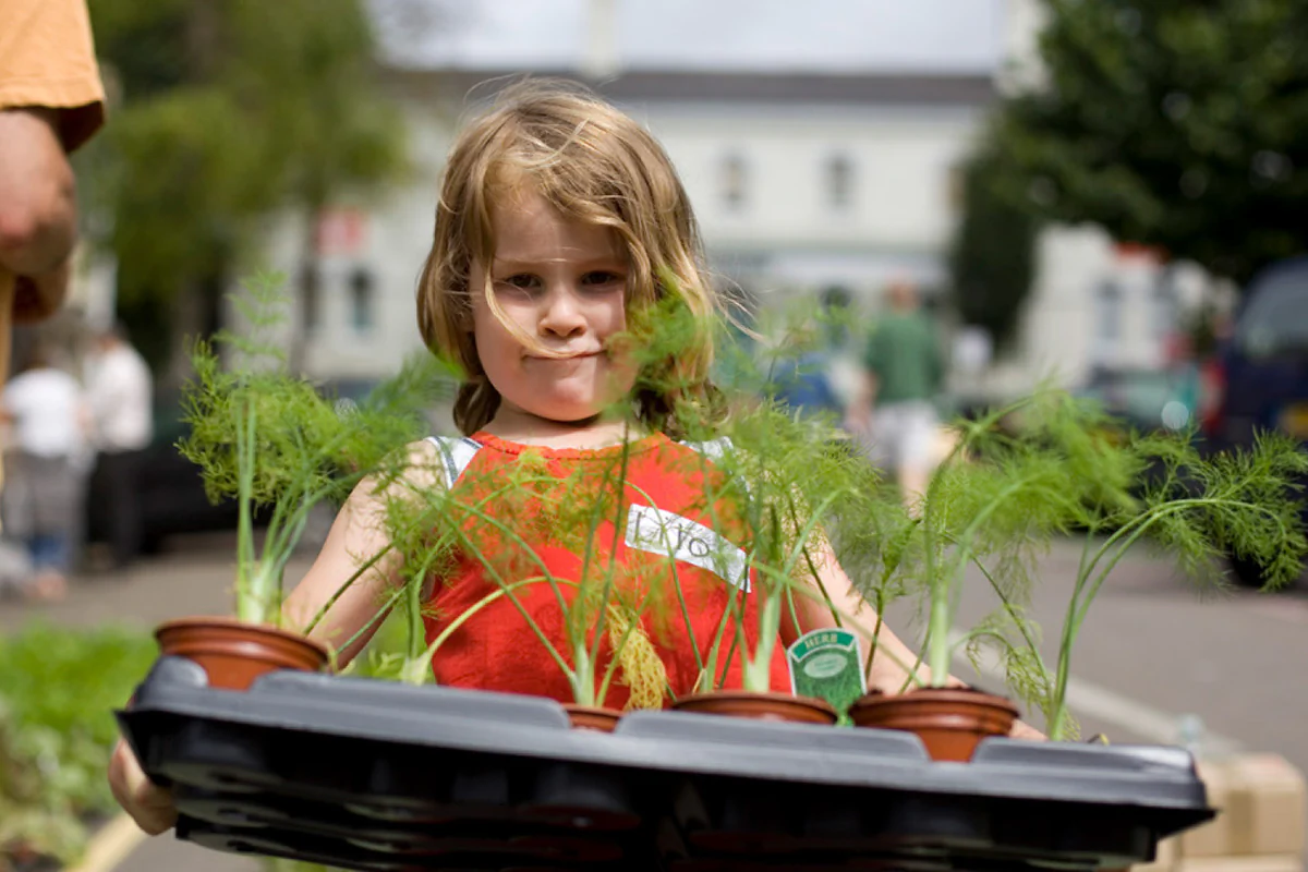 Bildbeschreibung / description: