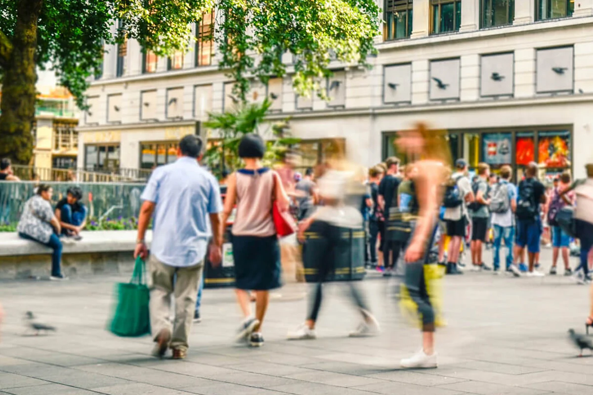 Bildbeschreibung / description: