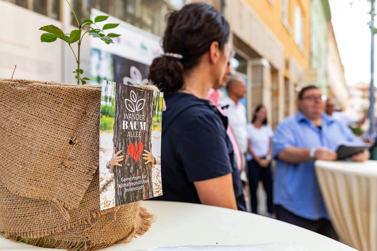 Wanderbaumallee Bildbeschreibung / description: Blumentopf inklusive Pflanze auf dem Event zur Wanderbaumallee