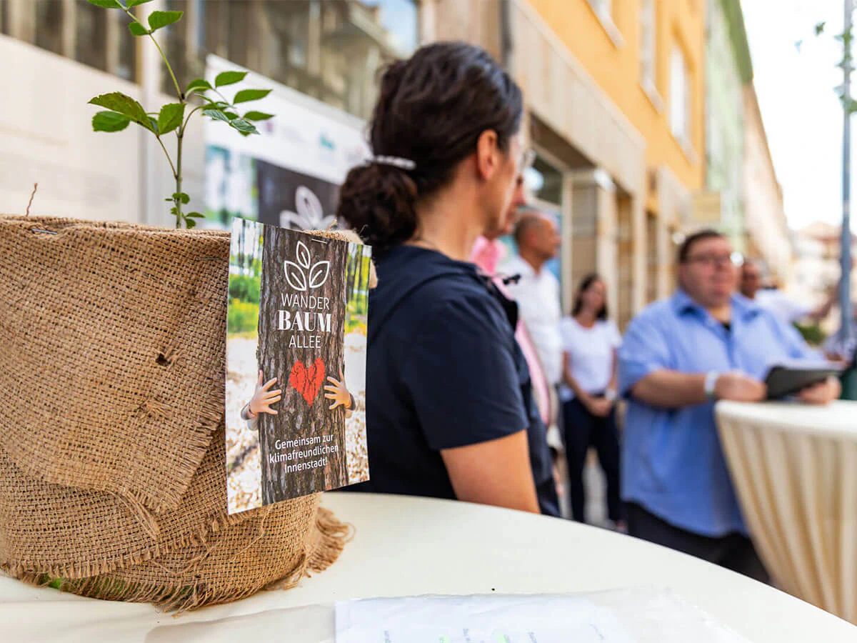 Bildbeschreibung / description: Blumentopf inklusive Pflanze auf dem Event zur Wanderbaumallee